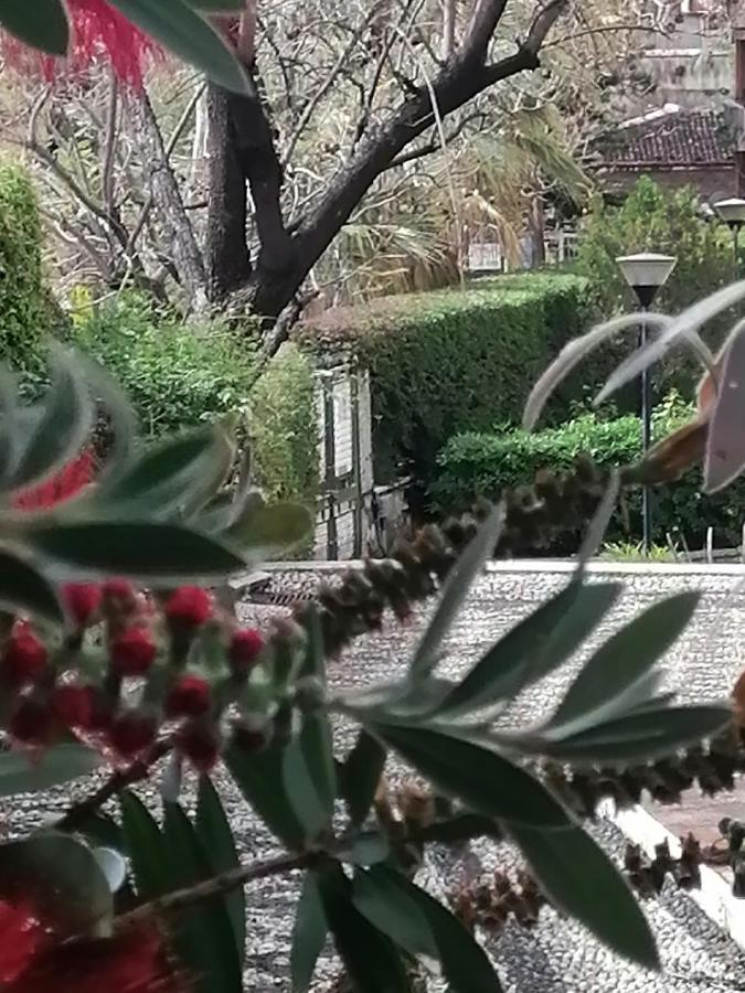 " Domus Coralla" Bnb Racconti Di Viaggio CTA Exterior foto