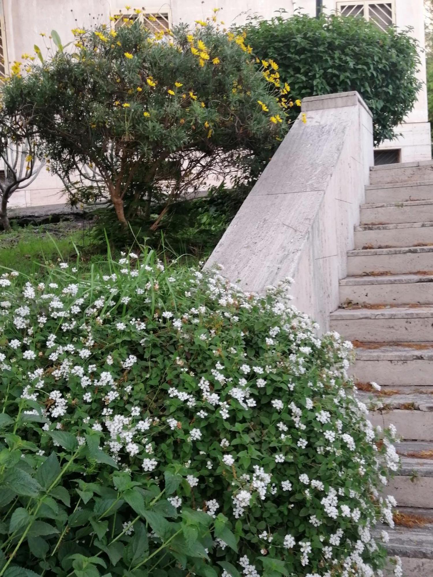 " Domus Coralla" Bnb Racconti Di Viaggio CTA Exterior foto